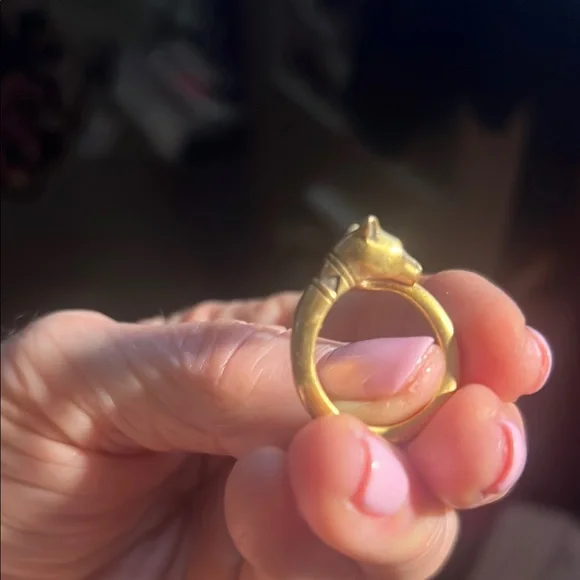 Gold Reptile Ring for Pet Enthusiasts - Picture 3 of 3